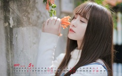 JAPONENSISFES VEDAOHD